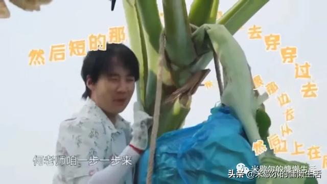 《向往的生活》：沙溢成五星级景点，郭麒麟意外透露择偶标准？fun娱乐