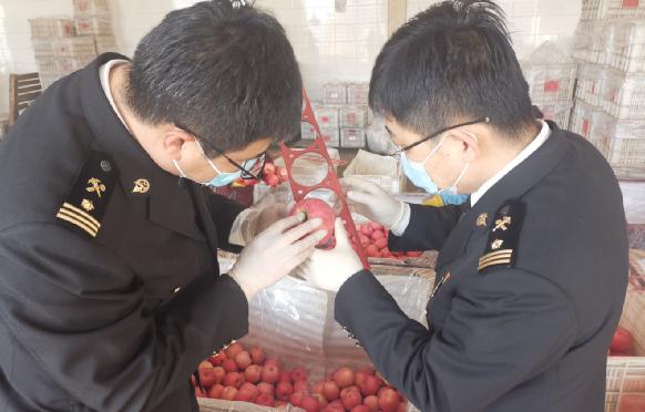 中欧|借力地理标志东风 烟台苹果加速拓展欧盟市场