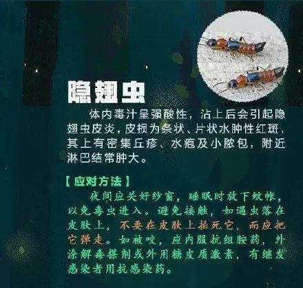 [光明网]高烧不退，严重可致命！青岛又有孩子中招！这个“小黑点”千万别大意