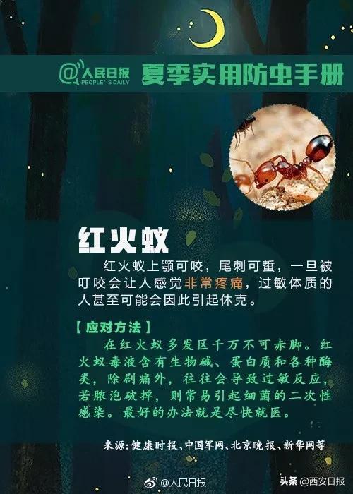 叮咬|清明出游后腿上多了几个红斑，医生紧急提醒：千万小心它，可致命