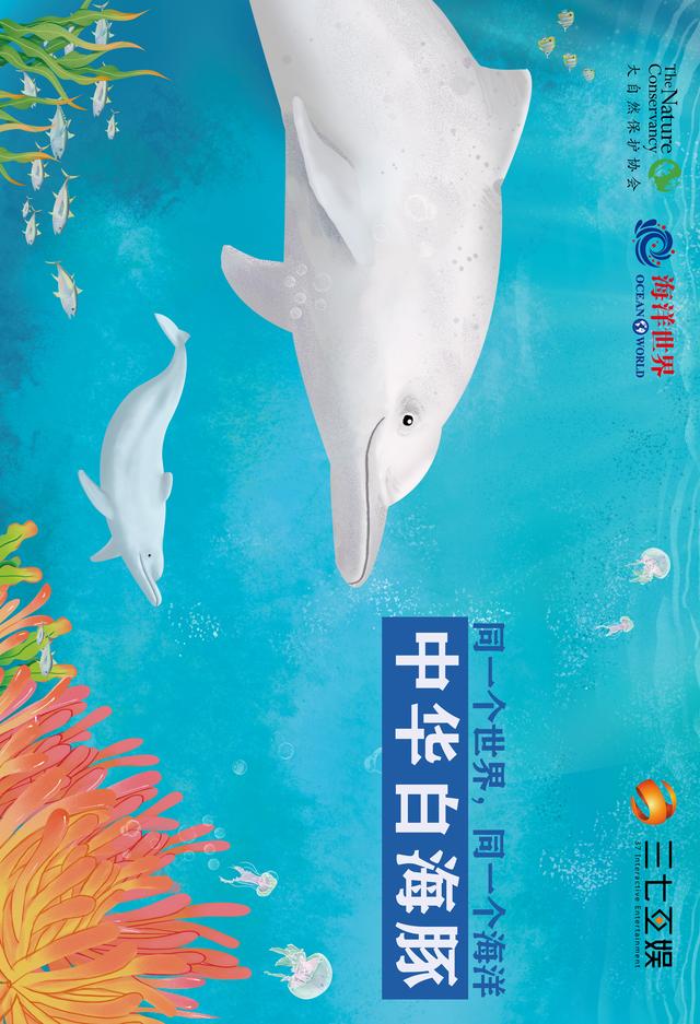 你的育儿经▲绘本 | 中华白海豚小科普