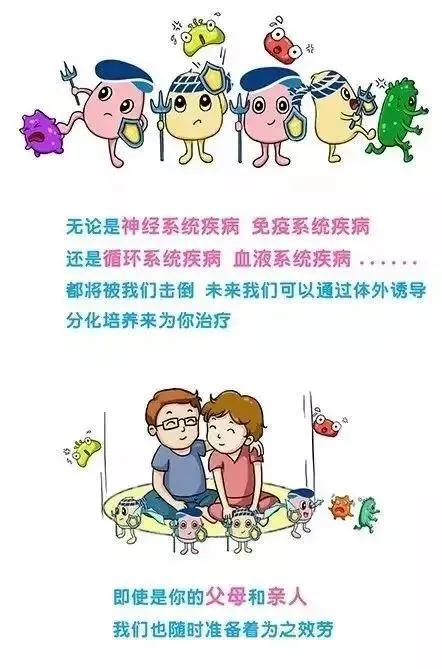 烟雨琴殇|常被忽视的新生儿干细胞，却成为了健康到老的秘密法宝!