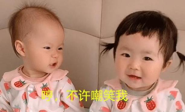 你的育儿经|全网“识别度”最高双胞胎,发量一个随爹一个随妈,这差距太明显