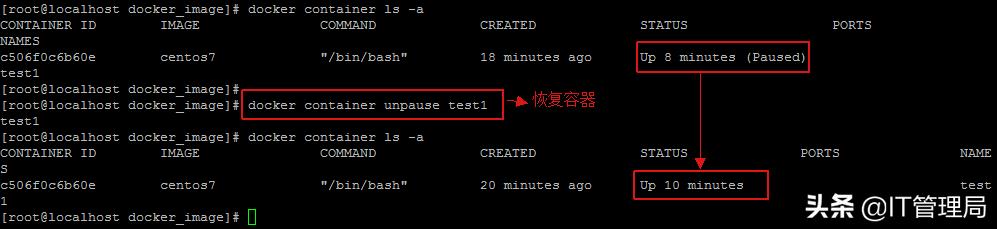 IT工程师都需要掌握的容器技术之Docker容器管理