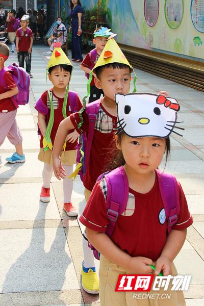 红网|六一来白沙幼儿园和“野生动物”做朋友