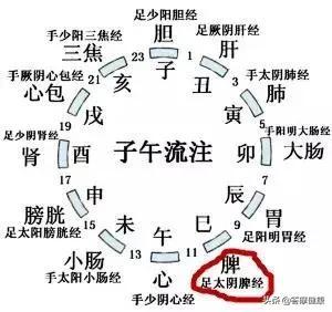 上午总是疲倦犯困，不是缺觉，是脾胃跟你闹「脾气」，看如何治？