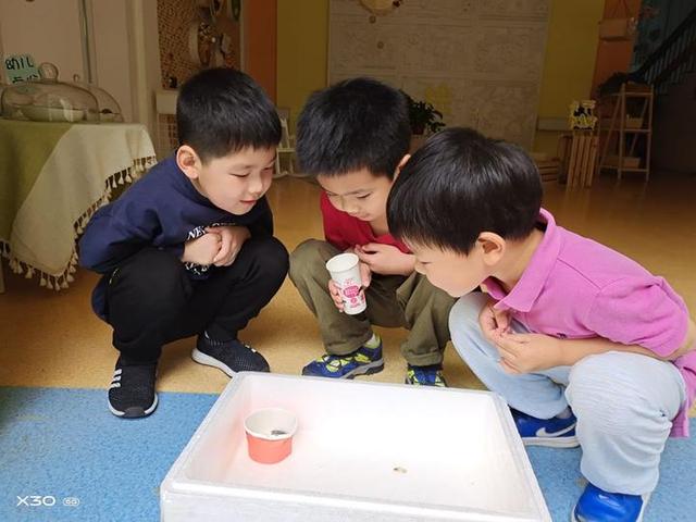 笑看人生|好暖心，幼儿园托班小朋友竟然照顾起了“小宝宝”