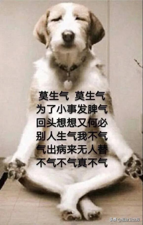 孩子|陪娃写作业=要命，有人心梗有人堵奶！如何拯救崩溃的家长？