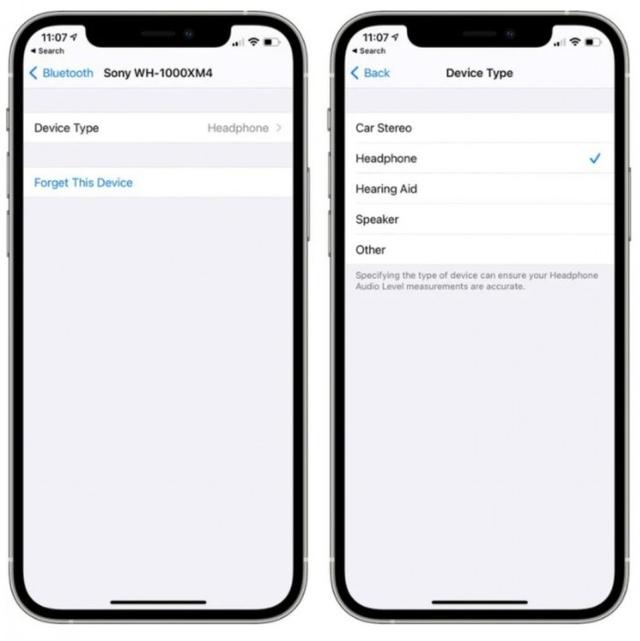iOS/iPadOS 14.4 Beta 2发布