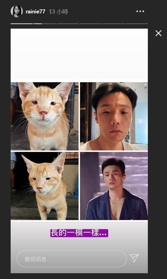 杨丞琳认证李荣浩撞脸单眼皮小猫：长得一模一样影视交流地