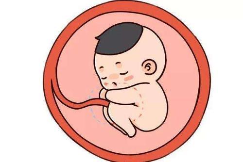 你的育儿经|孕期，胎宝宝大脑发育关键期，不要忽视必要营养的补充