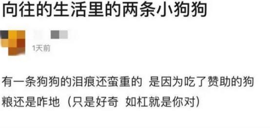 《向往》的两条狗怎么了？泪痕明显没活力，状态大不如前资讯早知道