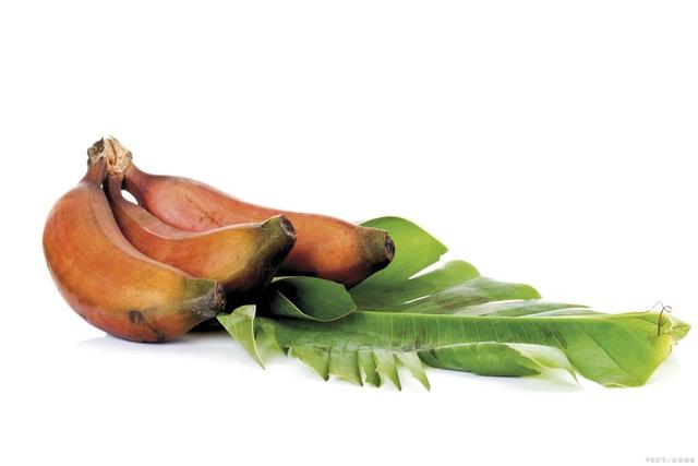 别一提补脑就是吃核桃，这5种食物“脑黄金”，也是补脑高手