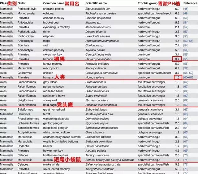 消化不好，吃啥都难受，做到这15点，提高你的消化能力