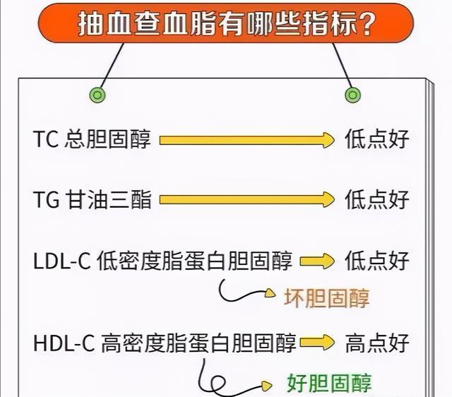 甘油三酯升高会堵住血管，做好这几点，血脂可以安全降低