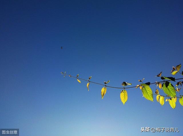 「超级宝妈」疫情期间孩子在家上课父母要崩溃？看看你是不是忽略了这三点