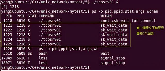linux进程管理之wait/waitpid处理僵死进程详解