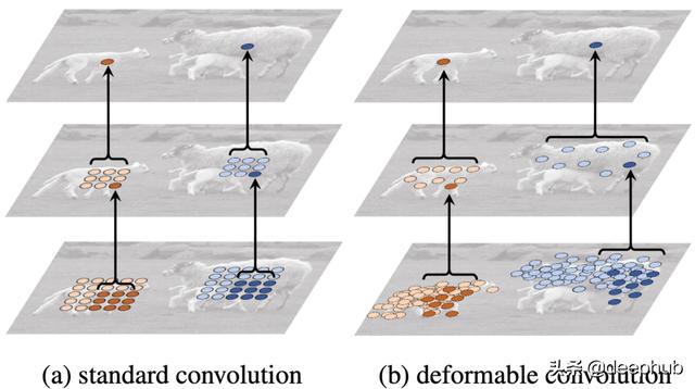 可变形卷积在视频学习中的应用：利用带有稀疏标记数据的视频帧