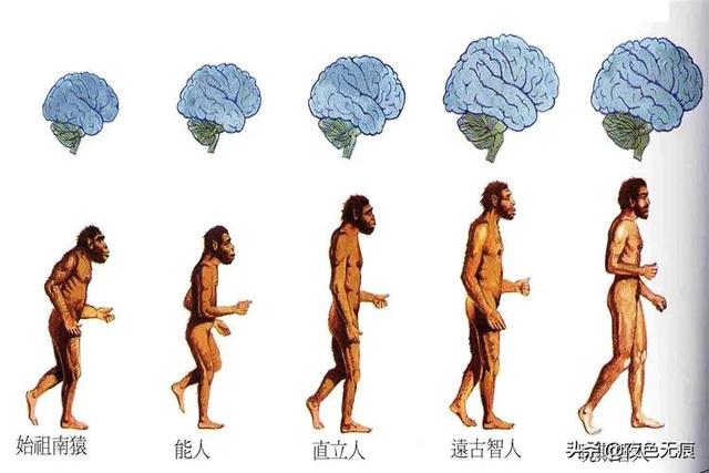 如果将刚出生的婴儿放在一起，一定时间后，会产生新语言吗？