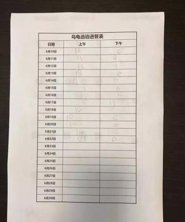 你的育儿经▲数学启蒙难？53个简单好上手的亲子游戏，轻松开启孩子的数学思维