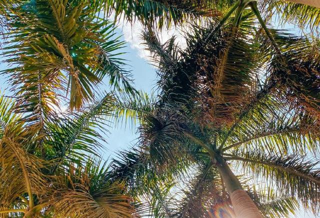 #世界那么大#浪漫开罗,异域文化体验地,曾被称为“死人城”