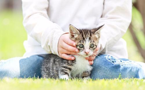 「你的育儿经」＂踩昆虫、摔小猫？＂当孩子虐待动物，是时候进行＂生命教育＂了
