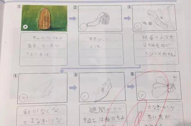 超级宝妈|小孩在日本上学是怎样一种体验？在日华人妈妈告诉真实日本学习