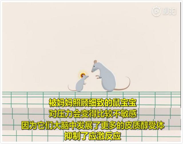 你的育儿经：萌娃怕挨打花式劝妈：打骂不是教育，只会伤害孩子大脑
