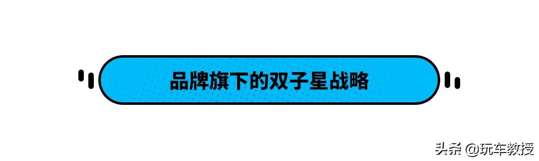 面对两类完全不同的消费者 这些车企干了这些事