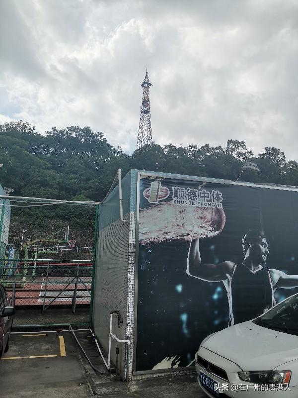 【山楂味的诗】走马观花，看顺德大良。