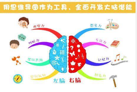 酷乐之家|3-6岁儿童数感思维萌芽期，聪明父母用3招，提高孩子数学逻辑思维
