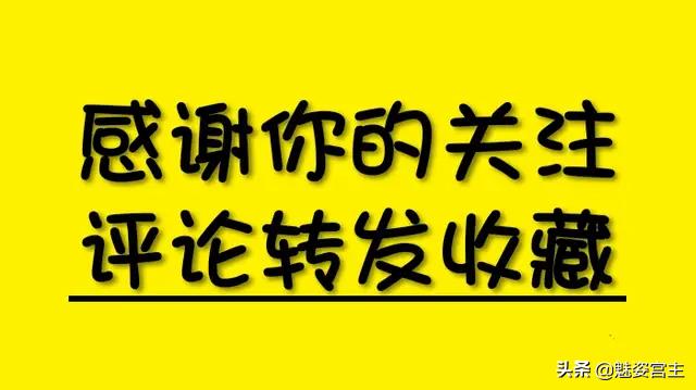 【超级宝妈】烂漫春天,温风习习,日式飞鱼玩具让孩子开心过春天