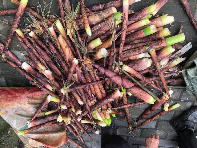 领克|一路趣野：在臭鳜鱼的家乡，嗅到生活的芬芳