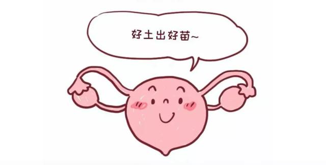 温柔的女人|备孕不成功的背后,是女性体内有这些状况,真是有趣又心酸