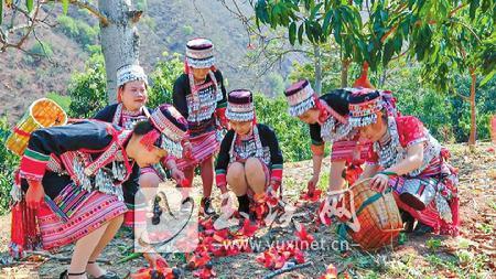 不可多得|攀枝花开美食来