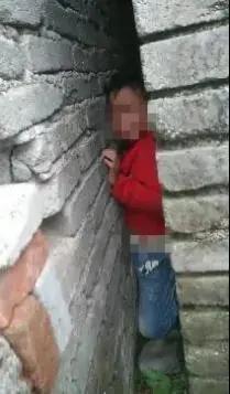 [你的育儿经]报告！墙缝里发现了“神兽”