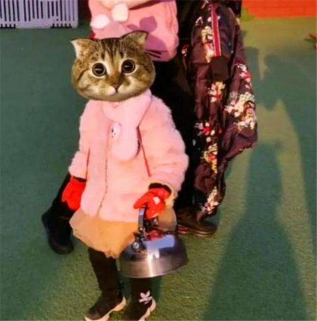 你的育儿经：“奶奶，老师让带多肉”，第二天孩子带来的东西，让老师哭笑不得