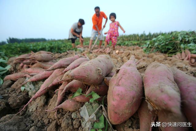 血糖高能不能吃红薯？糖尿病人饮食要注意什么？赶紧收藏