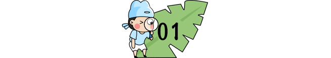 「夏以乔木」开学即期中！31个省市返校时间&暑假时间来了！复课第一个月，必须重视！（家长和孩子都读一读）