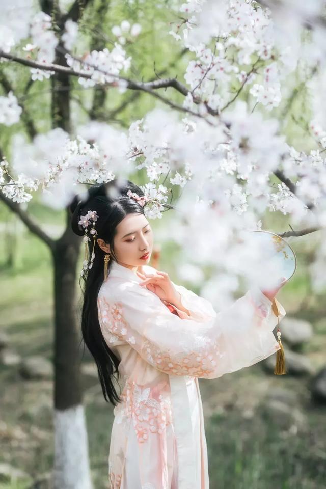 「趣旅游」趁樱色,入画来!