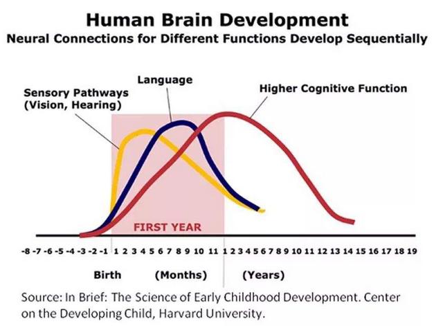 “左撇子”孩子比普通人更聪明？英国科学家：别把问题想得太复杂