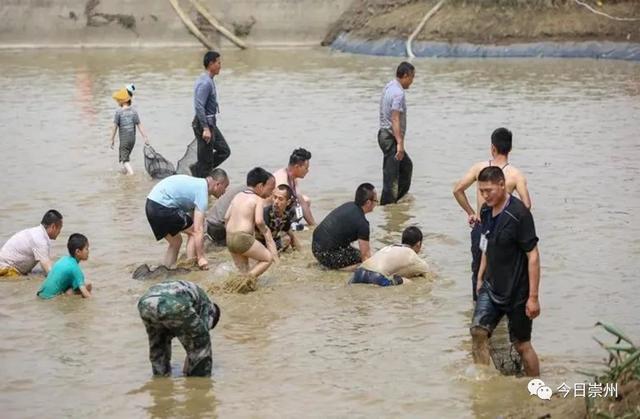 旅行柚子君@夏日,来崇州这个踏踏解锁“全家乐游”新模式