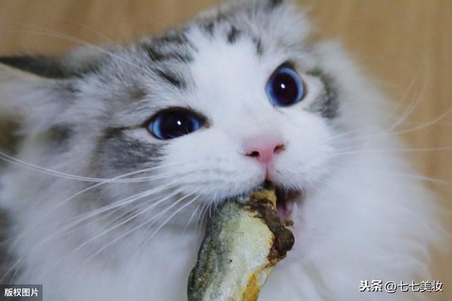 时尚探究社天爱真是拼显腿长三伏天穿冬天靴子！赶快get明星同款短靴搭配