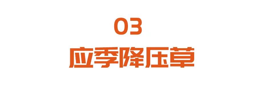 降压|春夏常喝三杯茶，稳血压、祛血瘀、降肝火，帮您远离心脑血管疾病的困扰