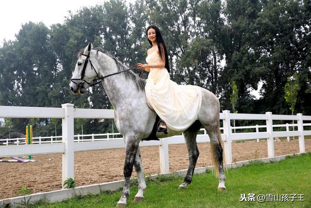 我梦见了王子与白马,探索梦境中的浪漫与启示 我梦见了王子与白马,探索梦境中的浪漫与启示