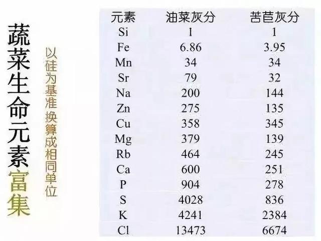 找到自愈癌症的神秘钥匙：他治愈了20多个癌症案例