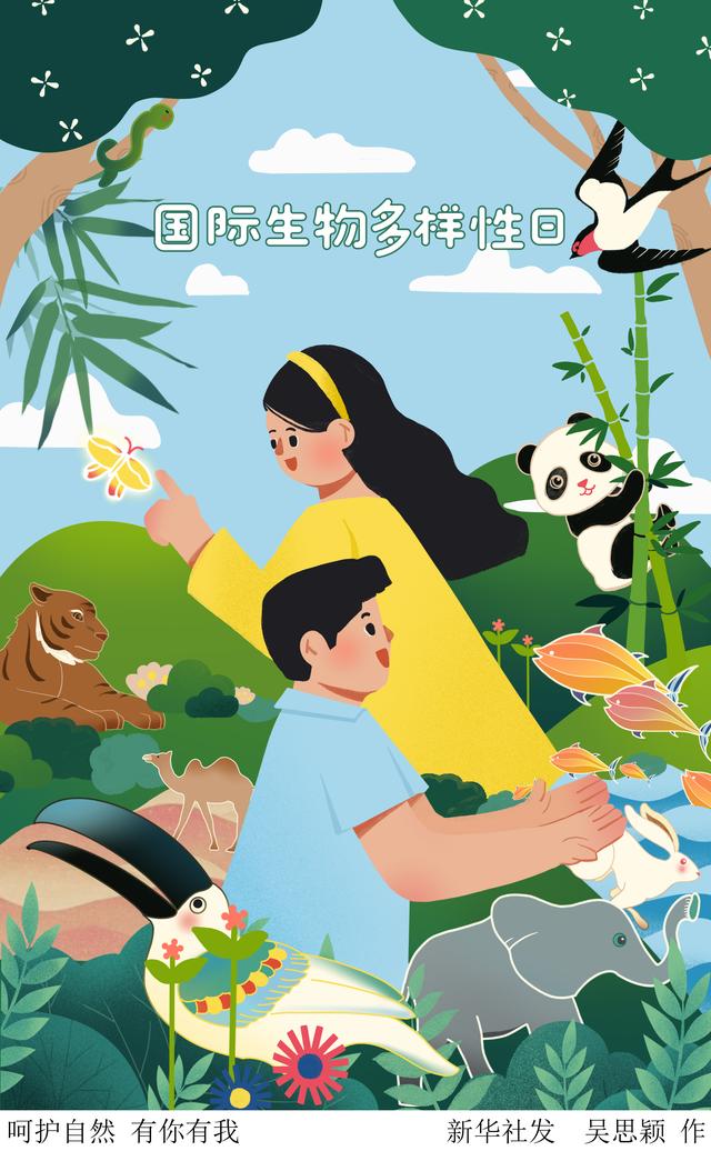 国际生物多样性日〕呵护自然 有你有我