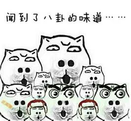 暖先生格调▲三观不正的室友到底有多可怕？简直让人大开眼界！