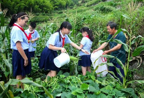 孩子要经历什么后，才能懂得学业的重要和父母的不易？