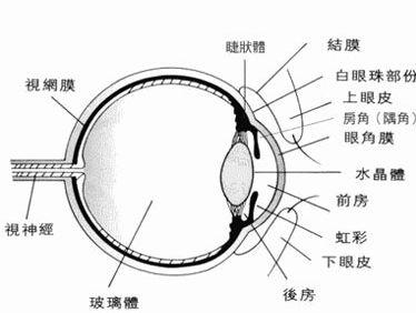 金牌大叔|保护眼睛必须要知道的一些知识